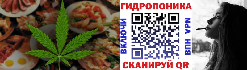 Cannafood конопля  Сясьстрой 