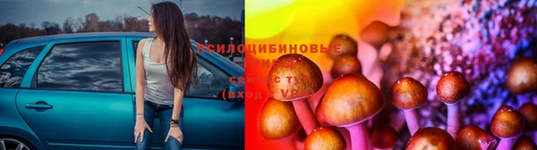 PSILOCYBIN Карпинск