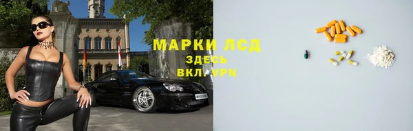 ГАЛЛЮЦИНОГЕННЫЕ ГРИБЫ Арсеньев