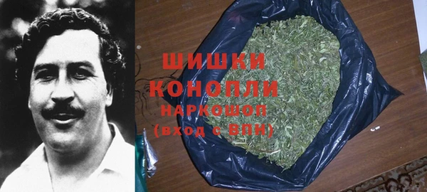 ГАЛЛЮЦИНОГЕННЫЕ ГРИБЫ Арсеньев