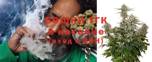 ГАЛЛЮЦИНОГЕННЫЕ ГРИБЫ Арсеньев