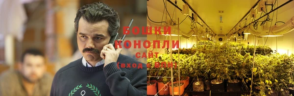 ГАЛЛЮЦИНОГЕННЫЕ ГРИБЫ Арсеньев