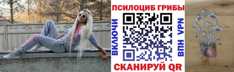 Галлюциногенные грибы Psilocybe  Сясьстрой 