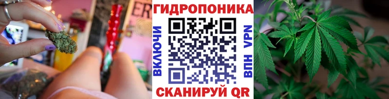 где найти   Сясьстрой  гидра ONION  Шишки марихуана Amnesia 
